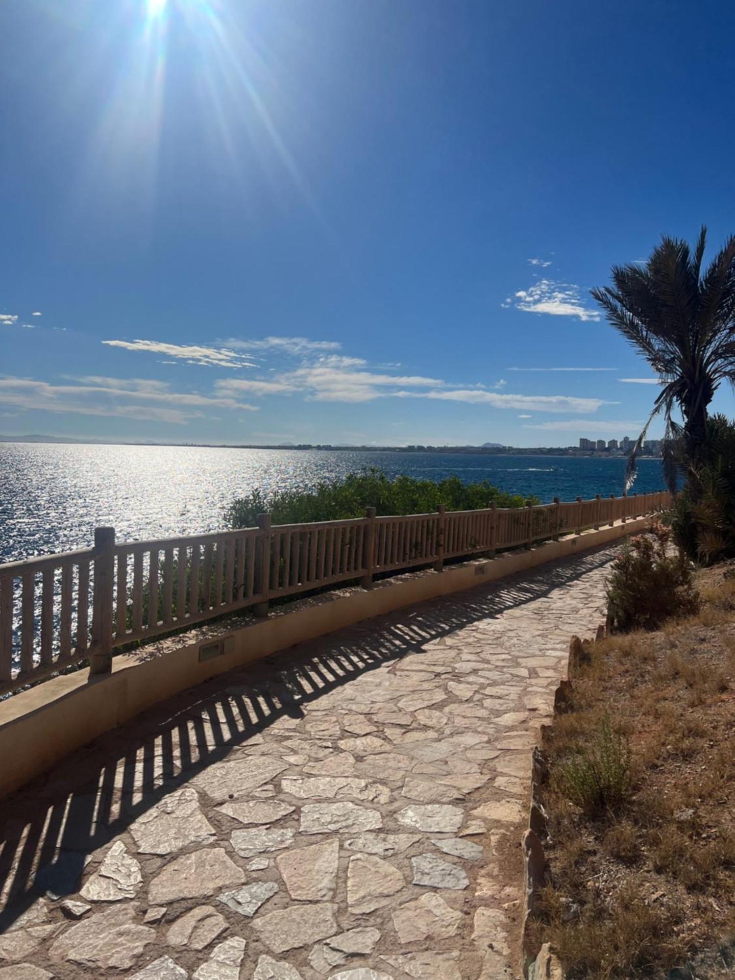Playa Flamenca - Turquesa Del Mar - Great Sea View! Leilighet Eksteriør bilde